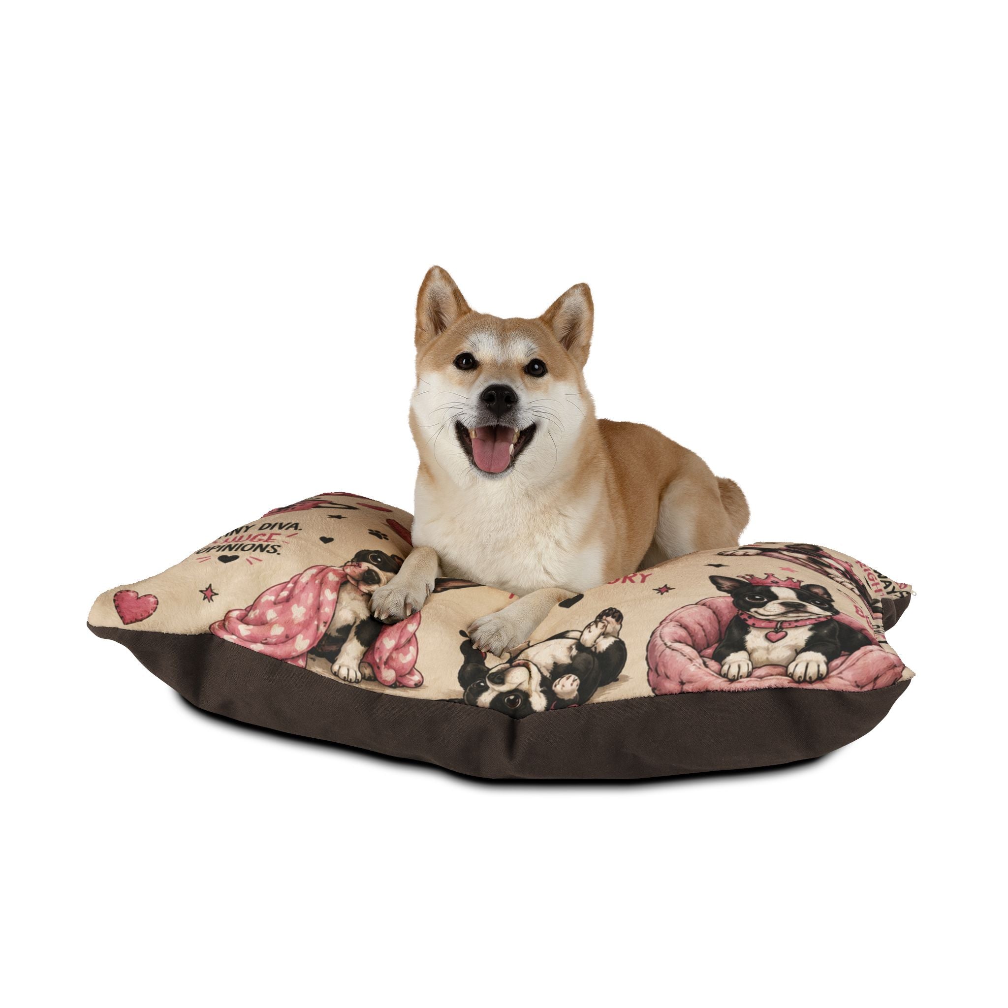 Spoiled Rotten Pet Bed — "Favorite Child / Passenger Princess" Cute Funny Pet Bed