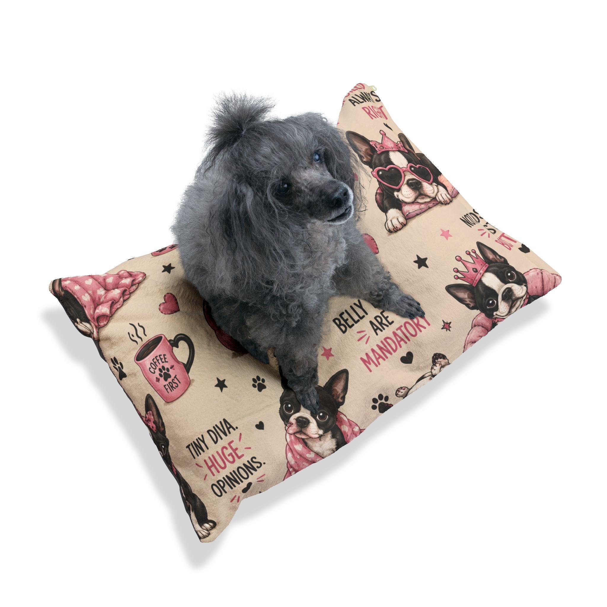 Spoiled Rotten Pet Bed — "Favorite Child / Passenger Princess" Cute Funny Pet Bed