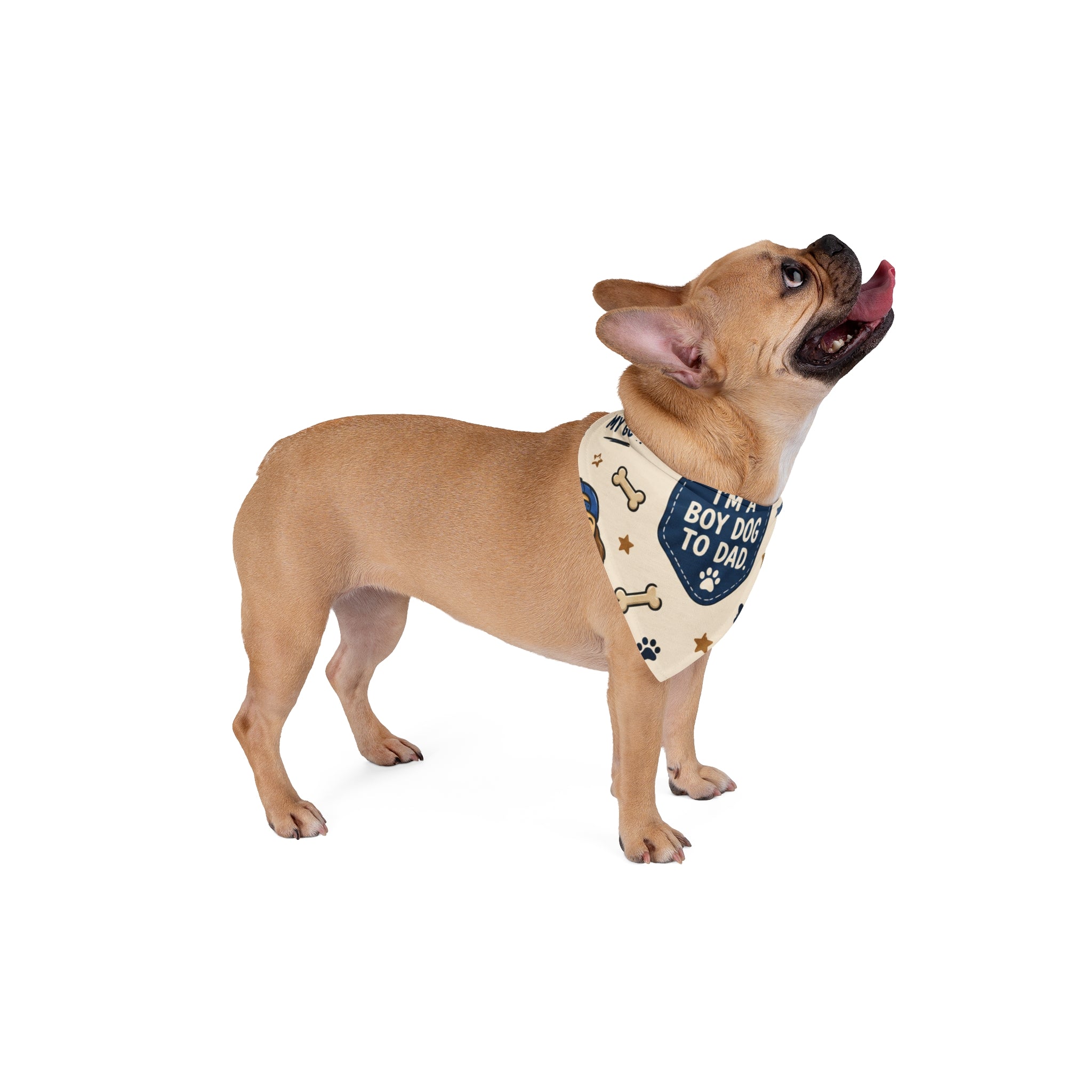 Pet Bandana — "I'm a Boy Dog to Dad" Cute Dog Bandana for Father’s Day & Pet Gifts