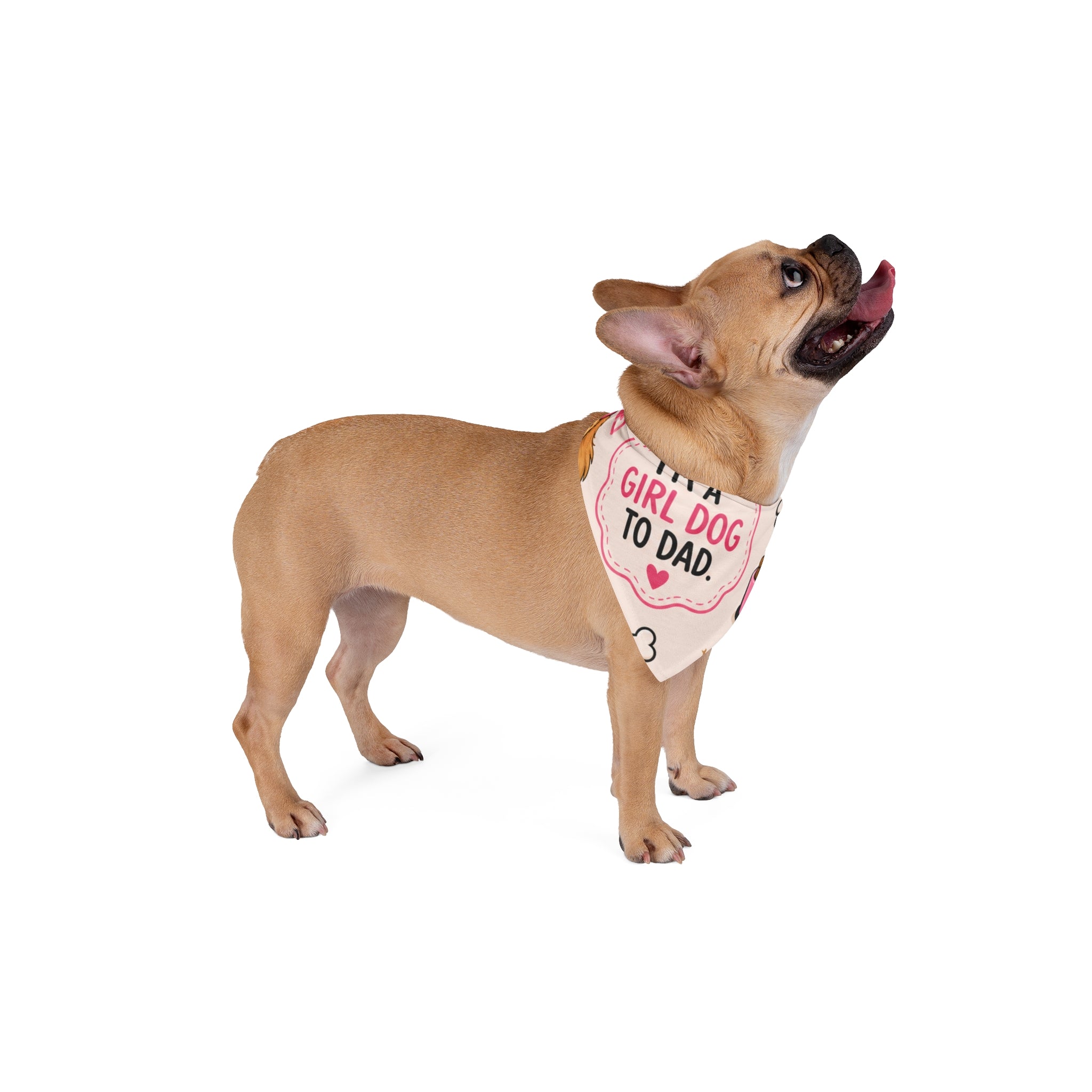 I'm a Girl Dog to Dad Pet Bandana — Pink Cute Paw Print Dog Scarf for Dads, Father’s Day Gift